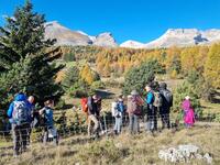 Il faut trouver Roche Courbe et ses satellites Il faut trouver Roche Courbe et ses satellites