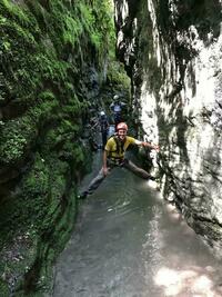 Opposition Opposition