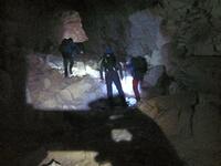 Frontale obligatoire Frontale obligatoire