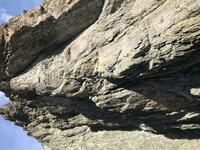 Début 2ème dent Début 2ème dent